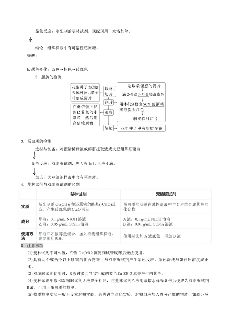 《专题一细胞的结构基础及物质运输相关实验（6大常考实验）（解析版）_高考一二三轮复习_生物_2026年-生物高考专项复习_42026年高考生物常考实验热点题型突破》第5页预览