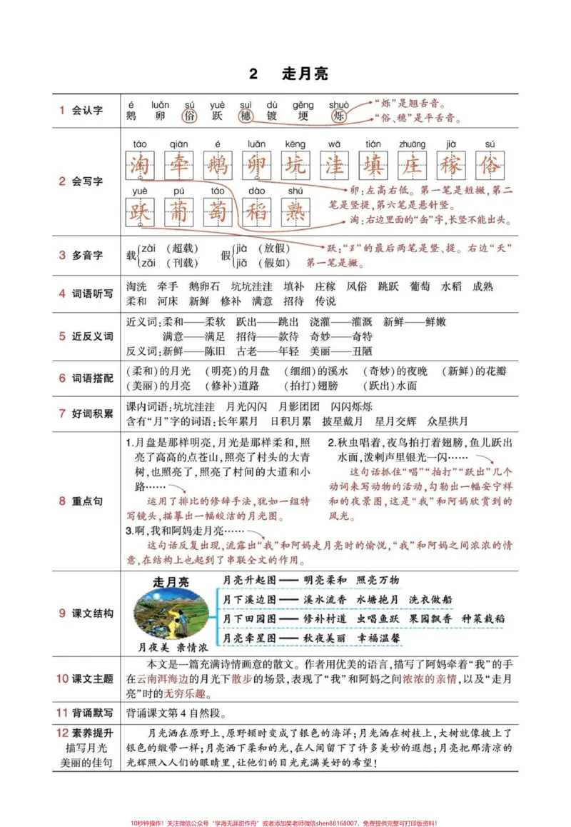 《这笔记干的很！三升四年级语文上册课文笔记。状元笔记提前学，快人一步。笔记中结合了每课的字、词、句、积累、搭配、结构、主题、背诵句段、素养提升。学习没有捷径，只有笨鸟先飞。#三升四语文#四年级语文上册#小学语文四年级上册笔记#四年级上册语文#四年级语文上册重点知识总结》第2页预览