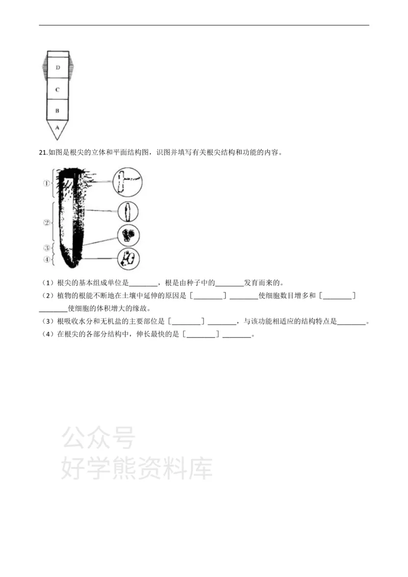 《冀少版八年级上册生物3.2根的吸收单元测试（含解析）_初高中资料库_初中资料库（转存避免链接过期失效）_初中生物》第3页预览
