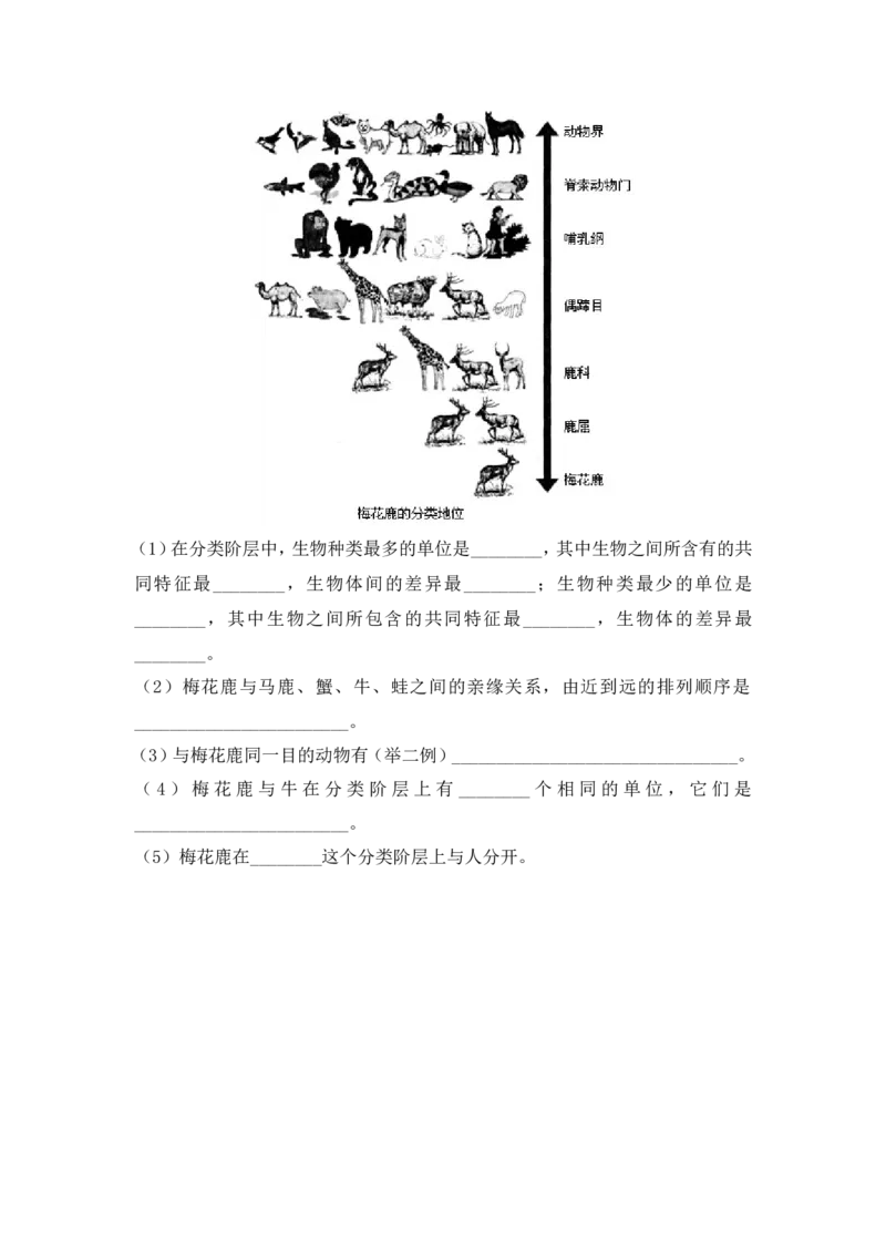 《6.1.2《从种到界》同步练习_初高中资料库_初中资料库（转存避免链接过期失效）_初中生物》第2页预览