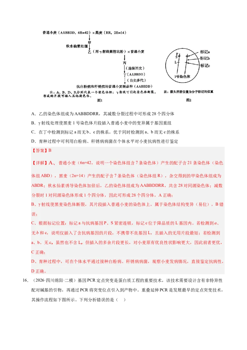 《专题10基因工程（1大考点）（教师版）(1)_高考一二三轮复习_生物_2027年高考生物专项_2026年高考生物二模试题分类汇编（四川专用）-G282_2026版》第10页预览