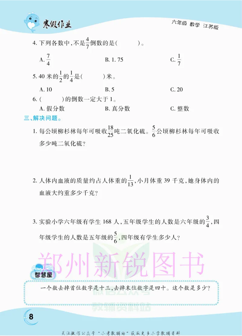 《豫新锐·寒假作业六年级数学江苏版_07.小学语文、英语、数学专区_小学寒假教辅汇总_1~6年级豫新锐·寒假作业》第10页预览
