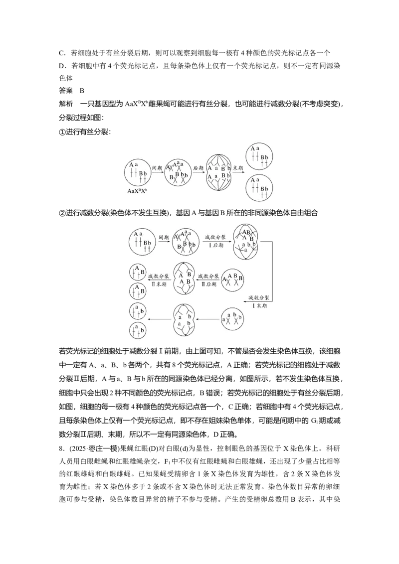 《第一部分　专题三　专题强化练　细胞的生命历程(1)_2026版高中《二三轮复习+冲刺复习》_教师用书Word版文档_第一部分　专题复习》第4页预览