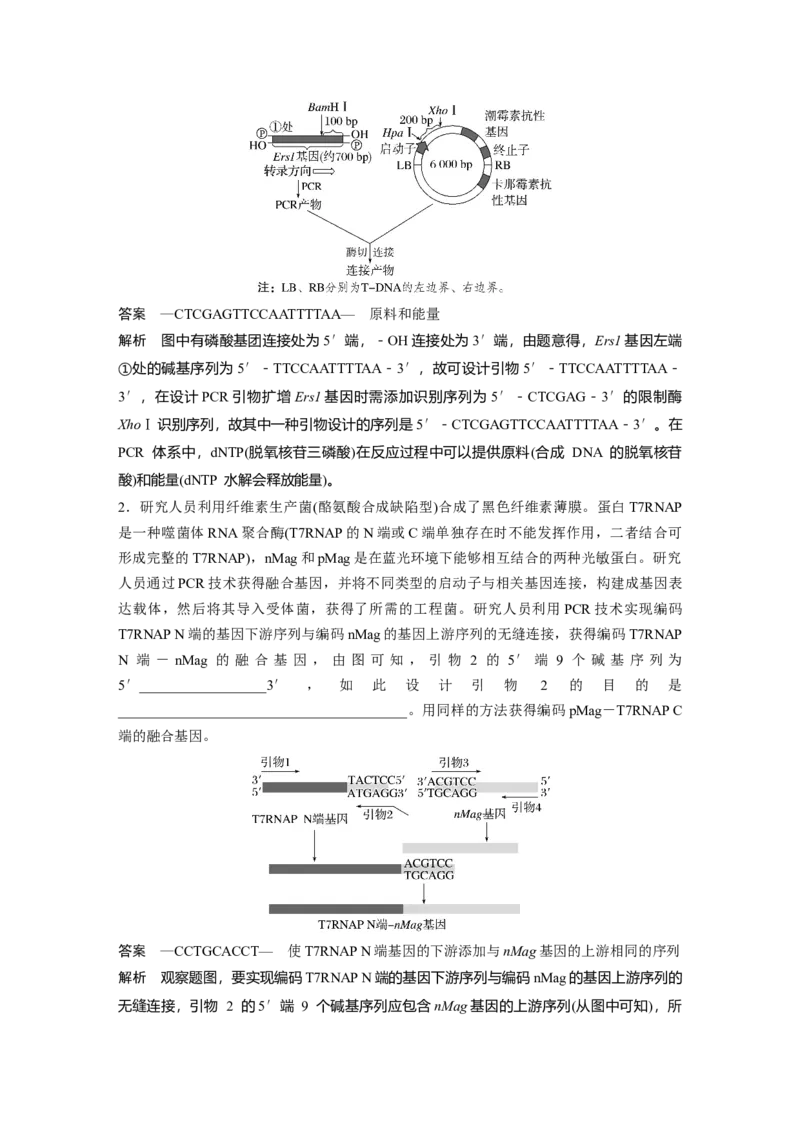 《第一部分　专题八　热点聚焦　PCR技术及应用_2026版高中《二三轮复习+冲刺复习》_教师用书Word版文档_第一部分　专题复习》第5页预览