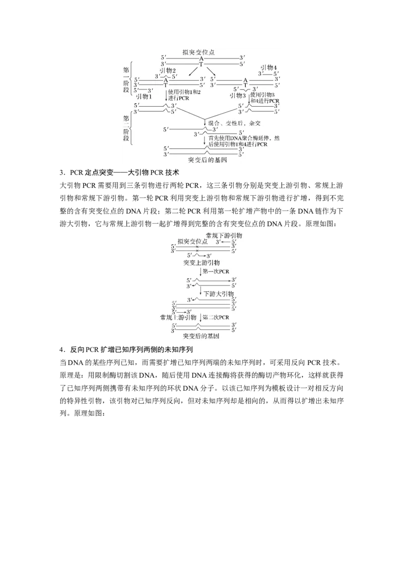 《第一部分　专题八　热点聚焦　PCR技术及应用_2026版高中《二三轮复习+冲刺复习》_教师用书Word版文档_第一部分　专题复习》第8页预览