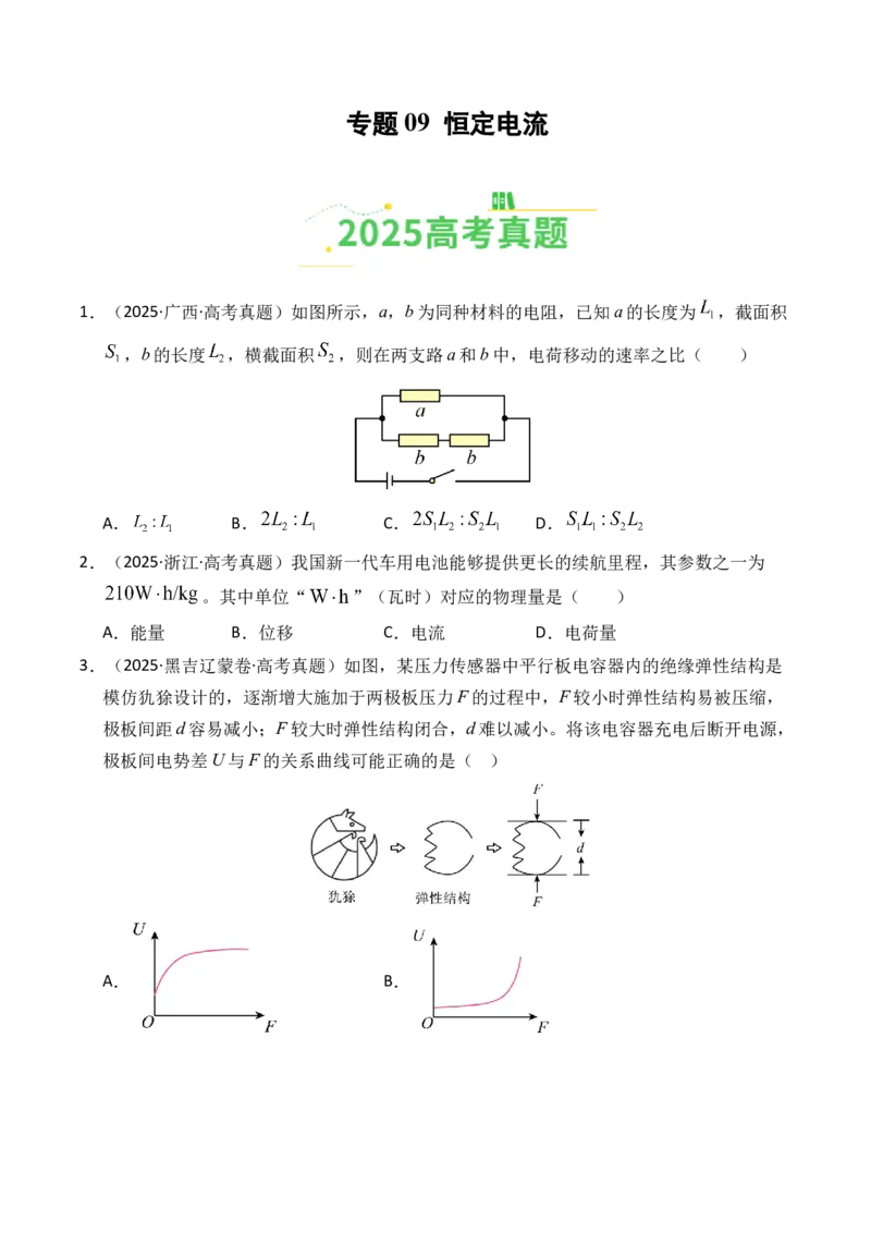 《专题09恒定电流（全国通用）（学生版）_高考一二三轮复习_物理_2026年-物理高考专项复习_2025年高考真题和模拟题物理分类汇编（全国通用）-G70》第1页预览
