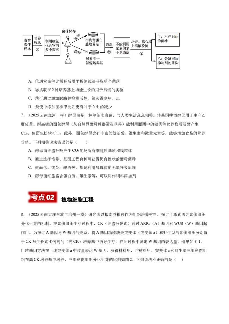 《专题10发酵工程与细胞工程（学生版）_高考一二三轮复习_生物_2026年-生物高考专项复习_2025年高考生物一模试题分类汇编（云南专用）》第3页预览