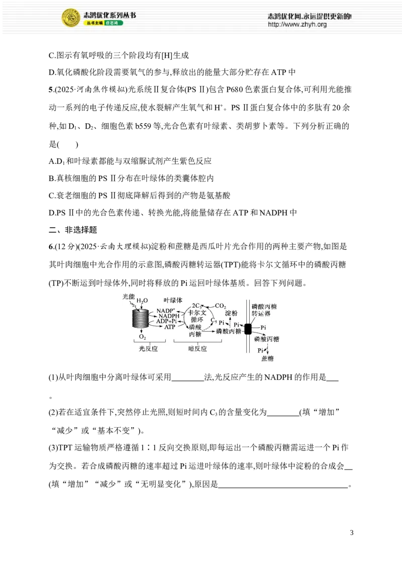 《限时练5　运用“对照”和“变量”思维解答酶类实验题、运用“物质与能量观”分析光合作用与细胞呼吸过程_2026版高中《二三轮复习+冲刺复习》_课后习题_344》第3页预览