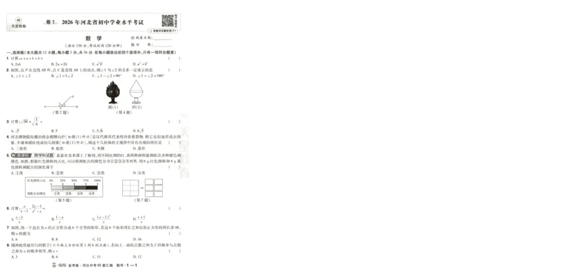 《试卷-A4_2026秋初中教辅合集_2027天星系列_2027《天星金考卷•中考45套》数学（河北）》第9页预览