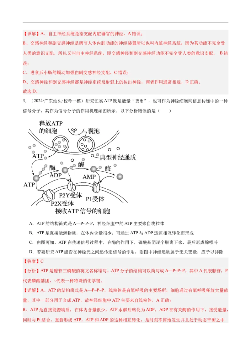 《专题07动物生命活动的调节（分层练）（解析版）_初高中资料库_高中资料库（转存避免链接过期失效）_高中生物》第2页预览