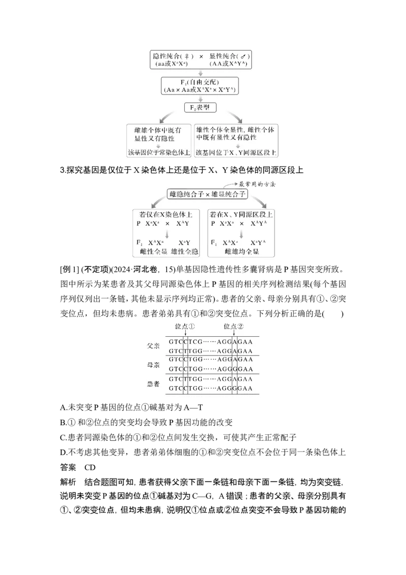《课时3基因位置的判定(尖子生选学)(1)_2026版高中《二三轮复习+冲刺复习》_另附1套Word版题库_第一篇 大概念专题突破_大概念四基因的分离和重组产生多种多样的基因组合》第2页预览