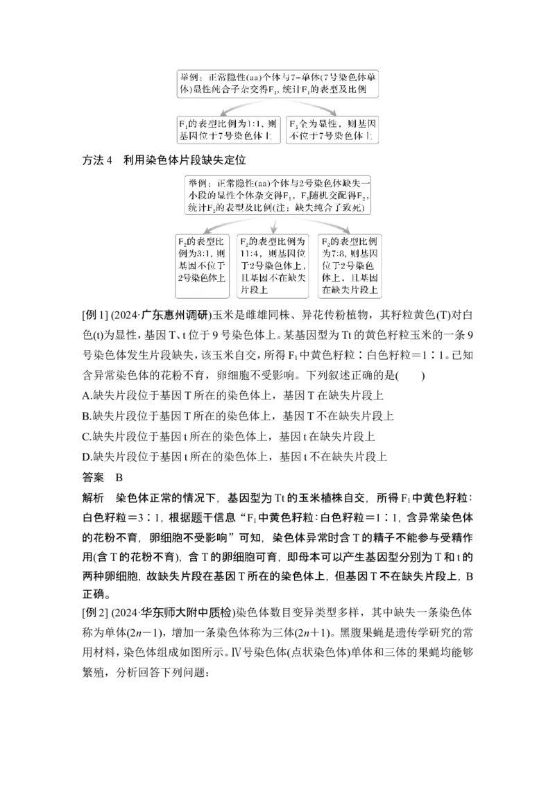 《课时3基因位置的判定(尖子生选学)(1)_2026版高中《二三轮复习+冲刺复习》_另附1套Word版题库_第一篇 大概念专题突破_大概念四基因的分离和重组产生多种多样的基因组合》第9页预览