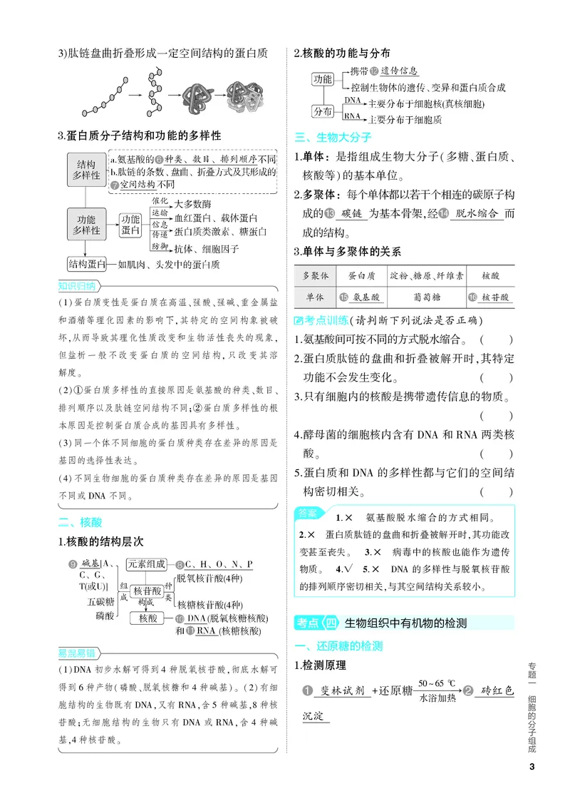 《2_01-专题一　细胞的分子组成（教参电子书—知识讲解）_2024版教学资源包_2024版.新高考版生物.5·3A版_1_专题一细胞的分子组成_4_PDF教参电子书》第3页预览