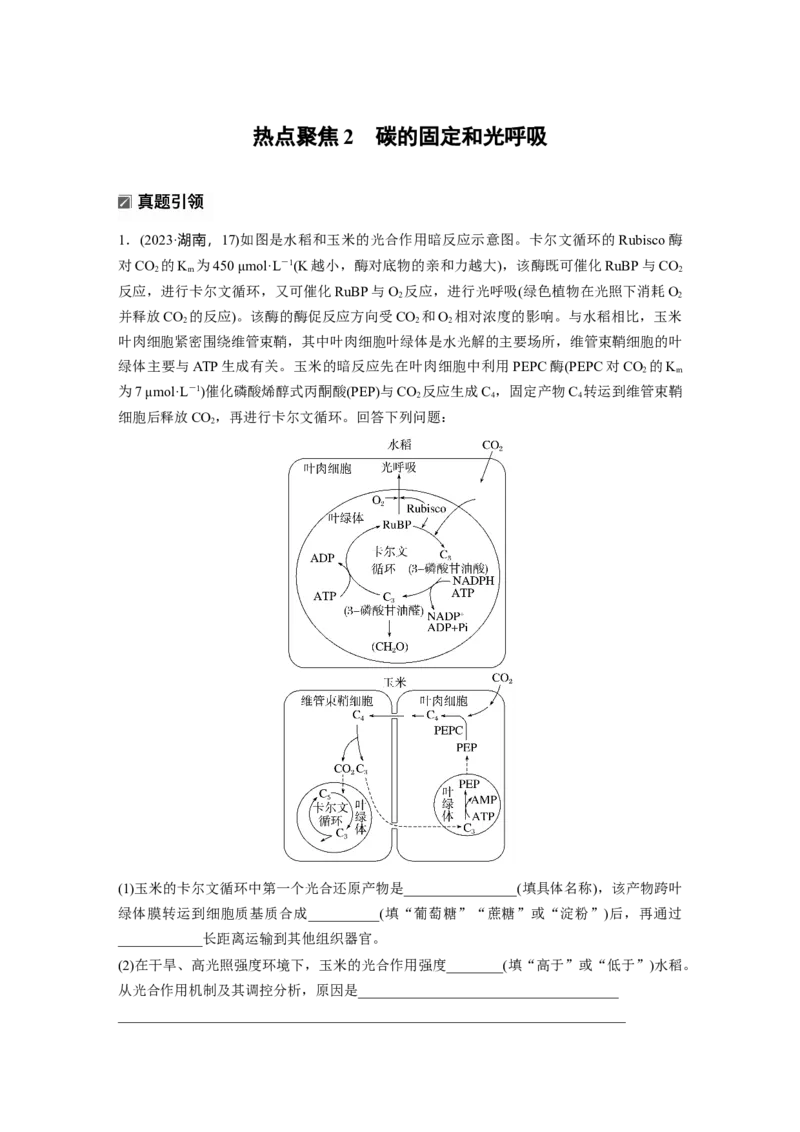 《第一部分　专题二　热点聚焦2　碳的固定和光呼吸(1)_2026版高中《二三轮复习+冲刺复习》_教师用书Word版文档_第一部分　专题复习》第1页预览