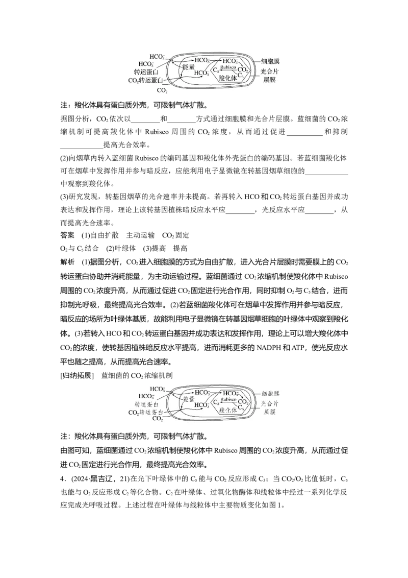 《第一部分　专题二　热点聚焦2　碳的固定和光呼吸(1)_2026版高中《二三轮复习+冲刺复习》_教师用书Word版文档_第一部分　专题复习》第4页预览