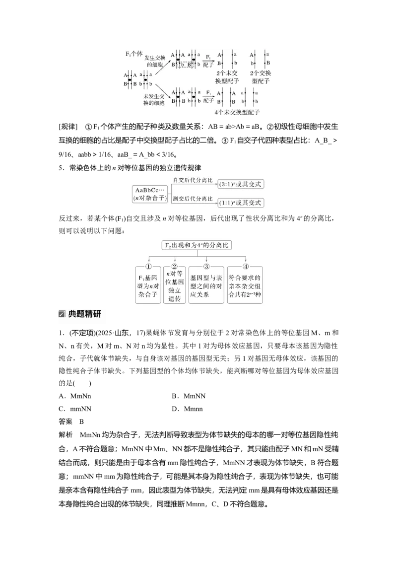 《第一部分 专题四 必备整合1 遗传的基本规律(1)_2026版高中《二三轮复习+冲刺复习》_教师用书Word版文档_第一部分 专题复习》第4页预览