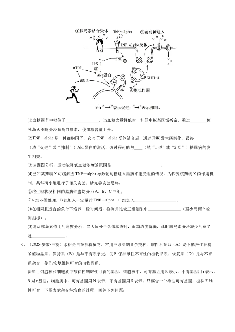 《专题09实验与探究（学生版）_高考一二三轮复习_生物_2026年-生物高考专项复习_2025年高考生物二模试题分类汇编（安徽专用）》第3页预览