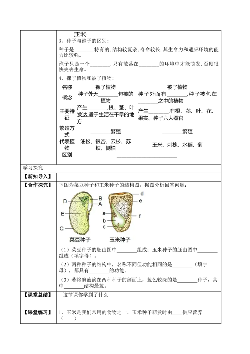 《3.1.2种子植物（学案）-2022-2023学年七年级生物上册同步优质备课资源（人教版）_初中全科知识点总结和试卷_赠送习题试卷_初中3年学习辅助资料_1、初中学习资料_4-6、生物_同步练习-138份》第2页预览