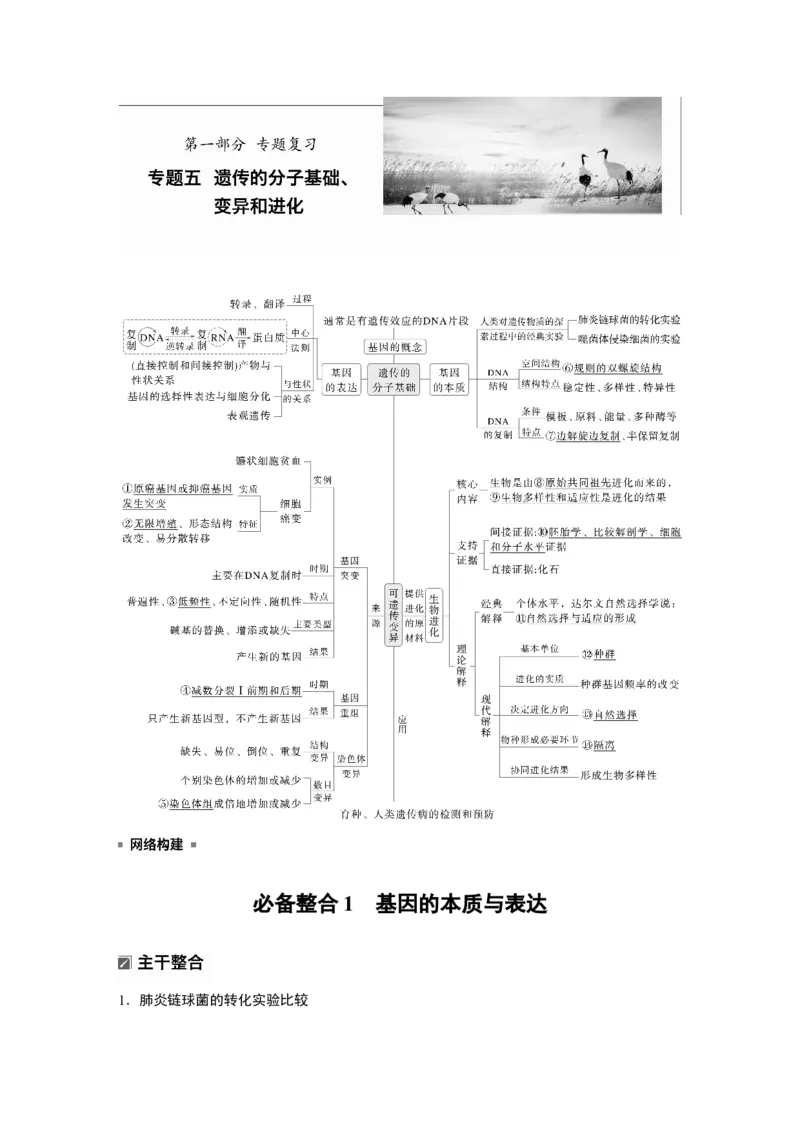 《第一部分 专题五 必备整合1 基因的本质与表达(1)_2026版高中《二三轮复习+冲刺复习》_教师用书Word版文档_第一部分 专题复习》第1页预览
