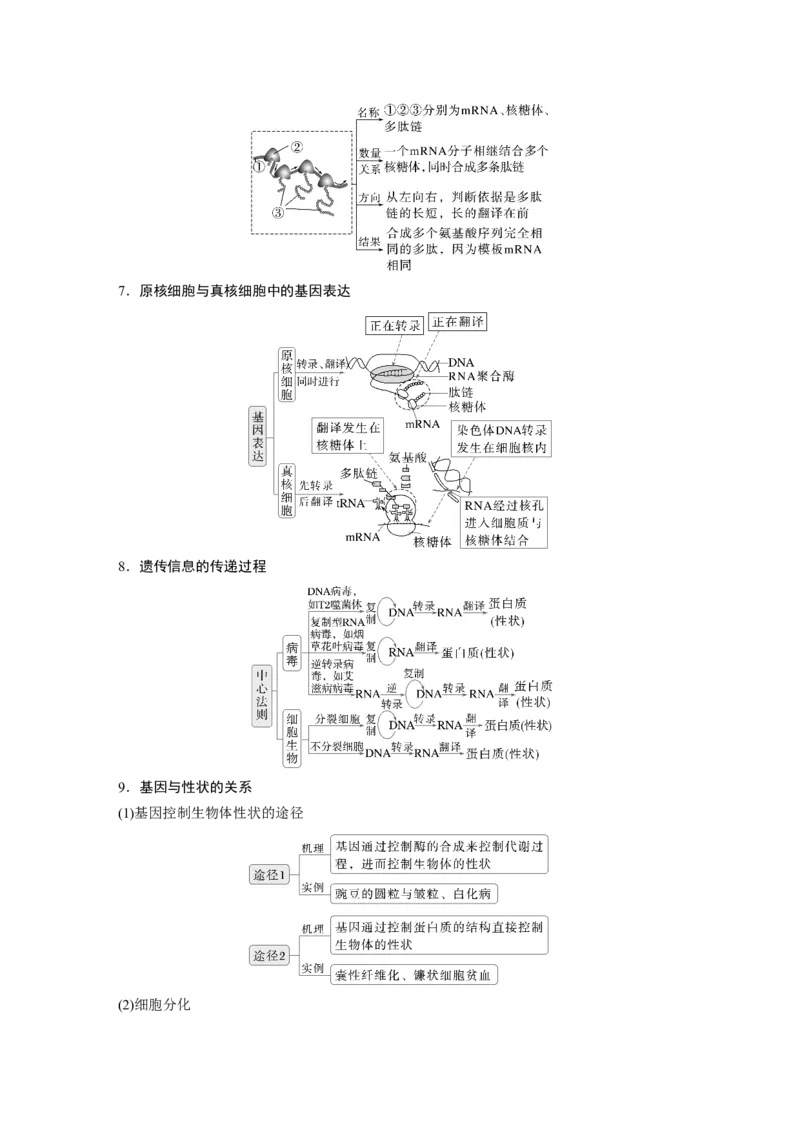 《第一部分 专题五 必备整合1 基因的本质与表达(1)_2026版高中《二三轮复习+冲刺复习》_教师用书Word版文档_第一部分 专题复习》第5页预览