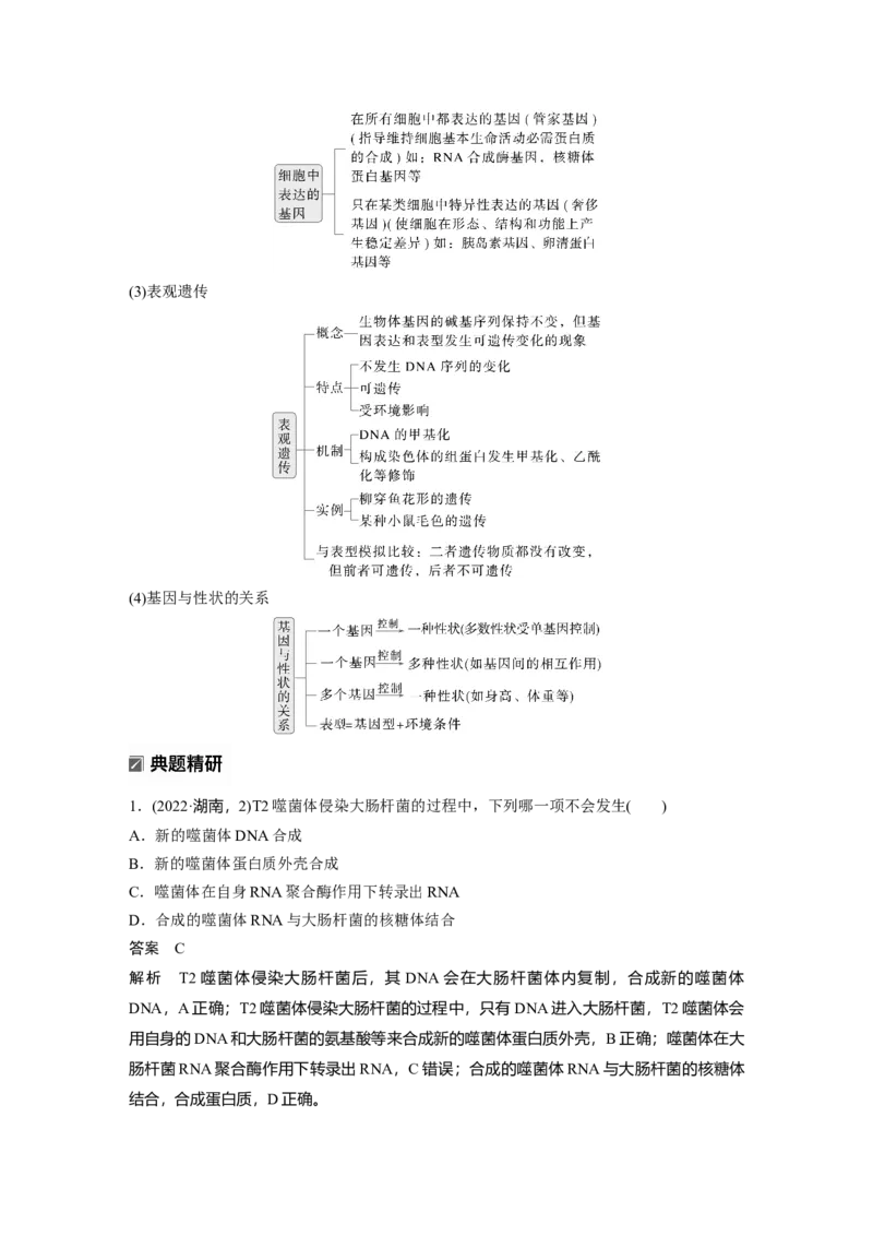 《第一部分 专题五 必备整合1 基因的本质与表达(1)_2026版高中《二三轮复习+冲刺复习》_教师用书Word版文档_第一部分 专题复习》第6页预览