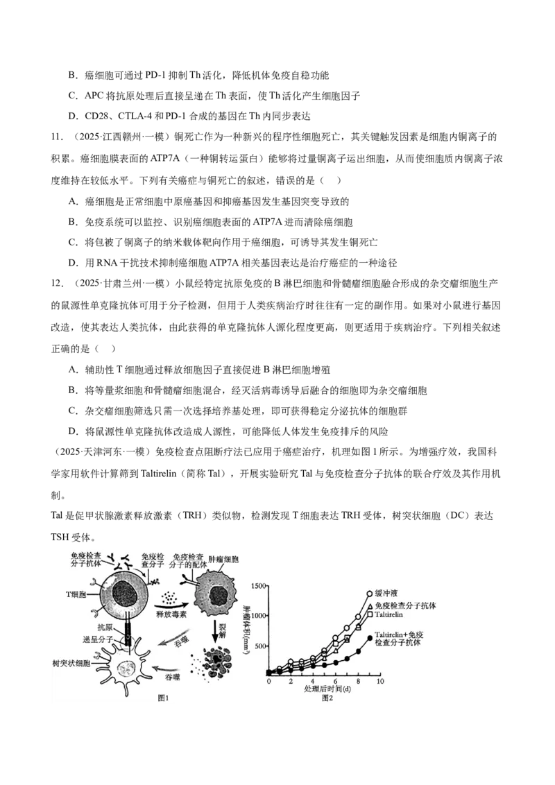 《专题10免疫调节（学生版）_高考一二三轮复习_生物_2026年-生物高考专项复习_2025年高考生物一模试题分类汇编（新高考通用）》第4页预览