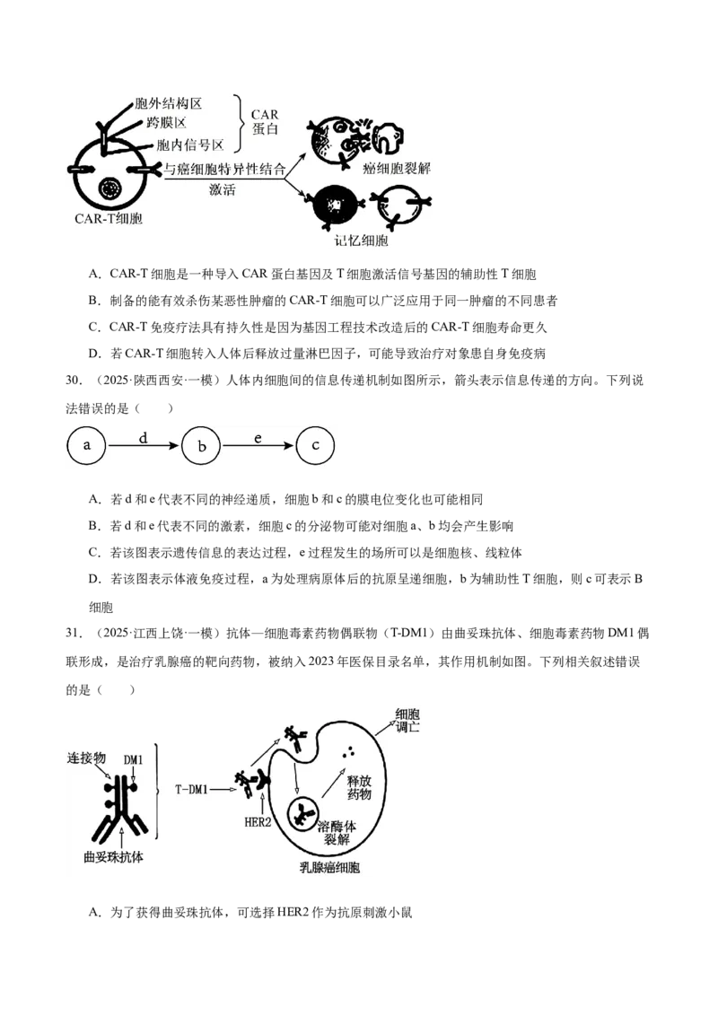 《专题10免疫调节（学生版）_高考一二三轮复习_生物_2026年-生物高考专项复习_2025年高考生物一模试题分类汇编（新高考通用）》第9页预览