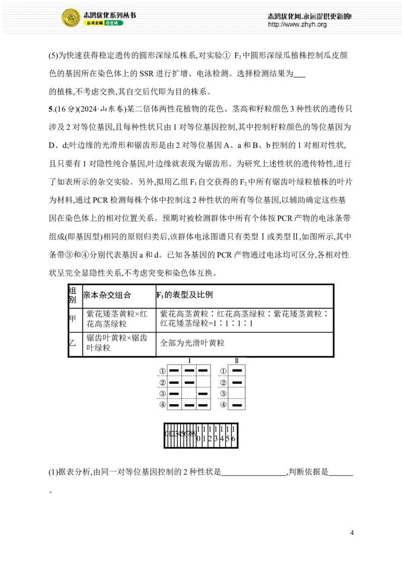 《限时练13　基因定位_2026版高中《二三轮复习+冲刺复习》_高考二轮2026年高考总复习《优化设计二轮复习》优化设计二轮用书+课后习题+PPPT课件---全科九科完整版(纯净word版+PPT版)》第4页预览