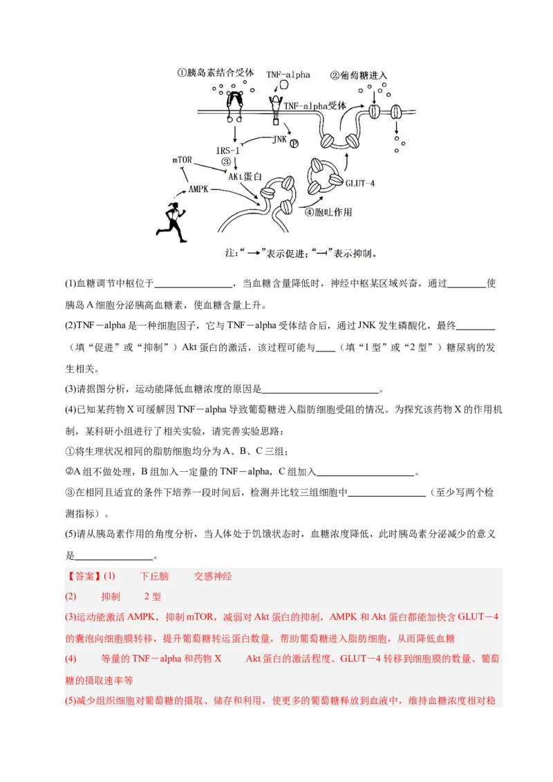 《专题09实验与探究（教师版）_高考一二三轮复习_生物_2026年-生物高考专项复习_2025年高考生物二模试题分类汇编（安徽专用）》第5页预览