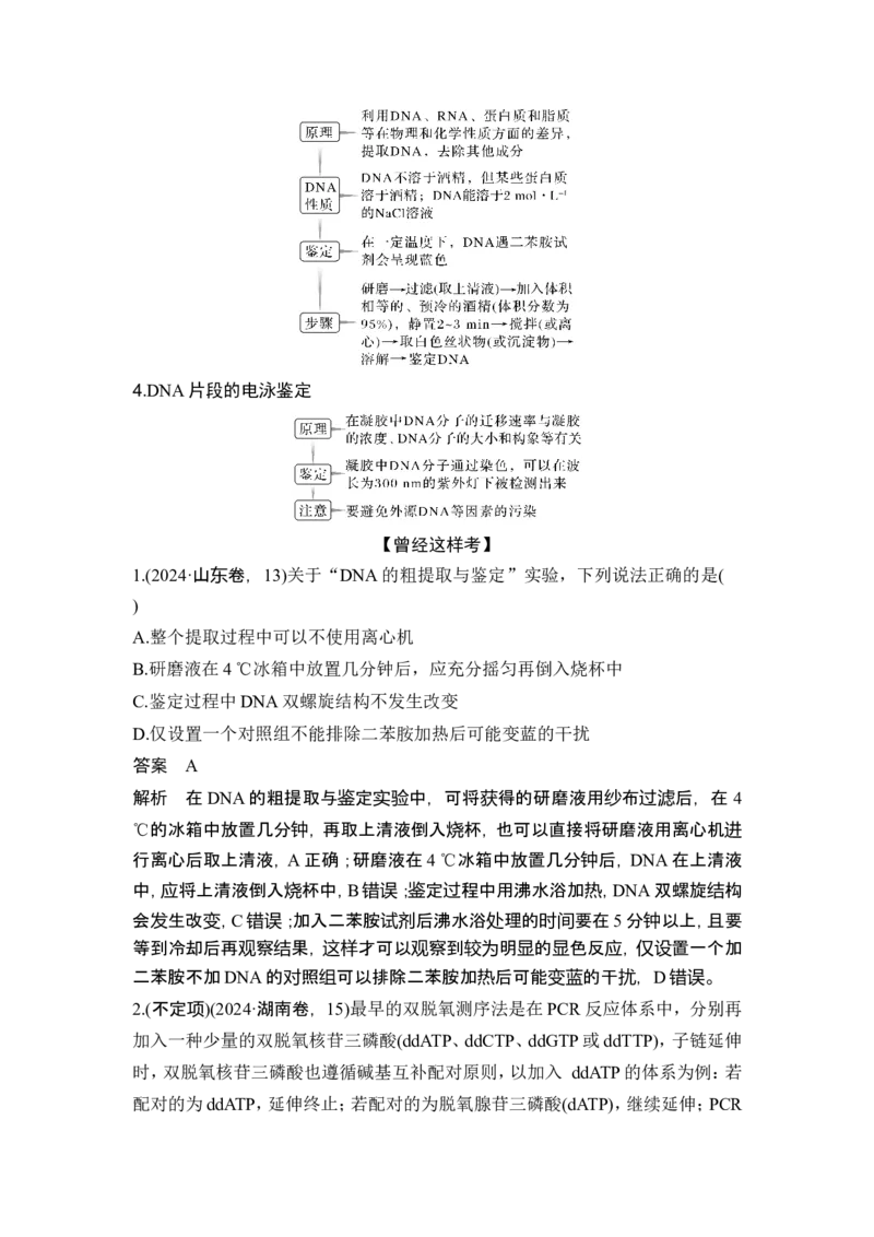 《课时2赋予生物新的遗传特性的基因工程(1)_2026版高中《二三轮复习+冲刺复习》_另附1套Word版题库_第一篇　大概念专题突破_大概念八利用生物技术与工程生产对人类有用的产品》第10页预览