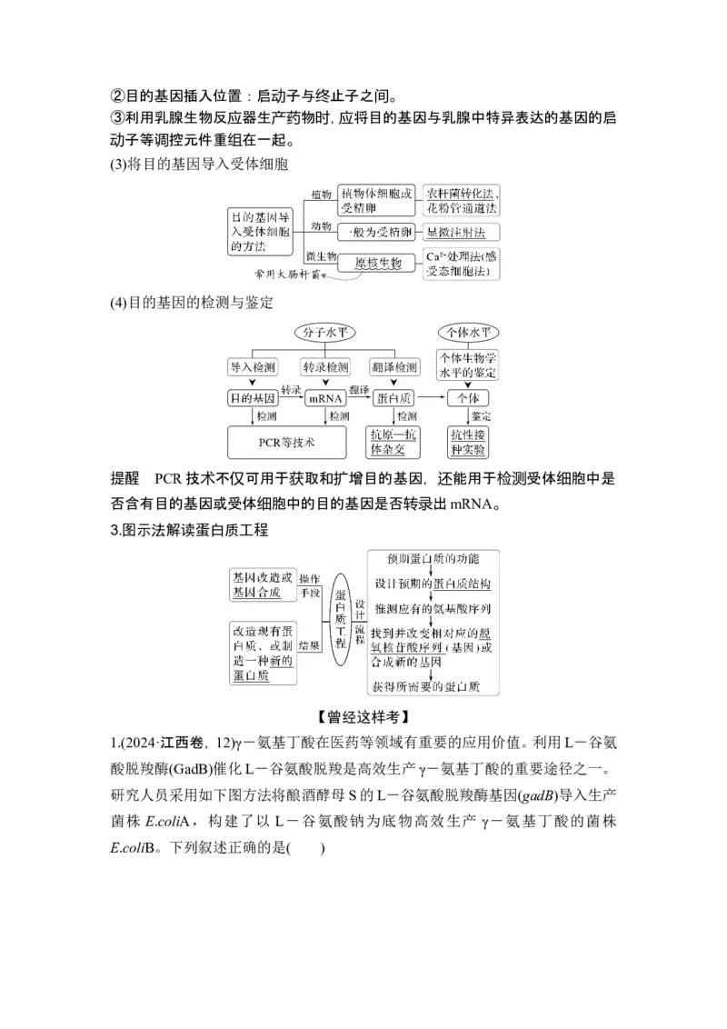 《课时2赋予生物新的遗传特性的基因工程(1)_2026版高中《二三轮复习+冲刺复习》_另附1套Word版题库_第一篇　大概念专题突破_大概念八利用生物技术与工程生产对人类有用的产品》第2页预览