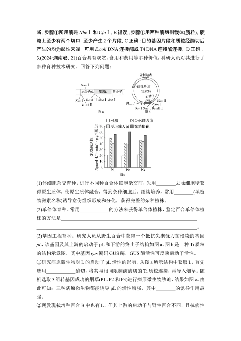 《课时2赋予生物新的遗传特性的基因工程(1)_2026版高中《二三轮复习+冲刺复习》_另附1套Word版题库_第一篇　大概念专题突破_大概念八利用生物技术与工程生产对人类有用的产品》第4页预览