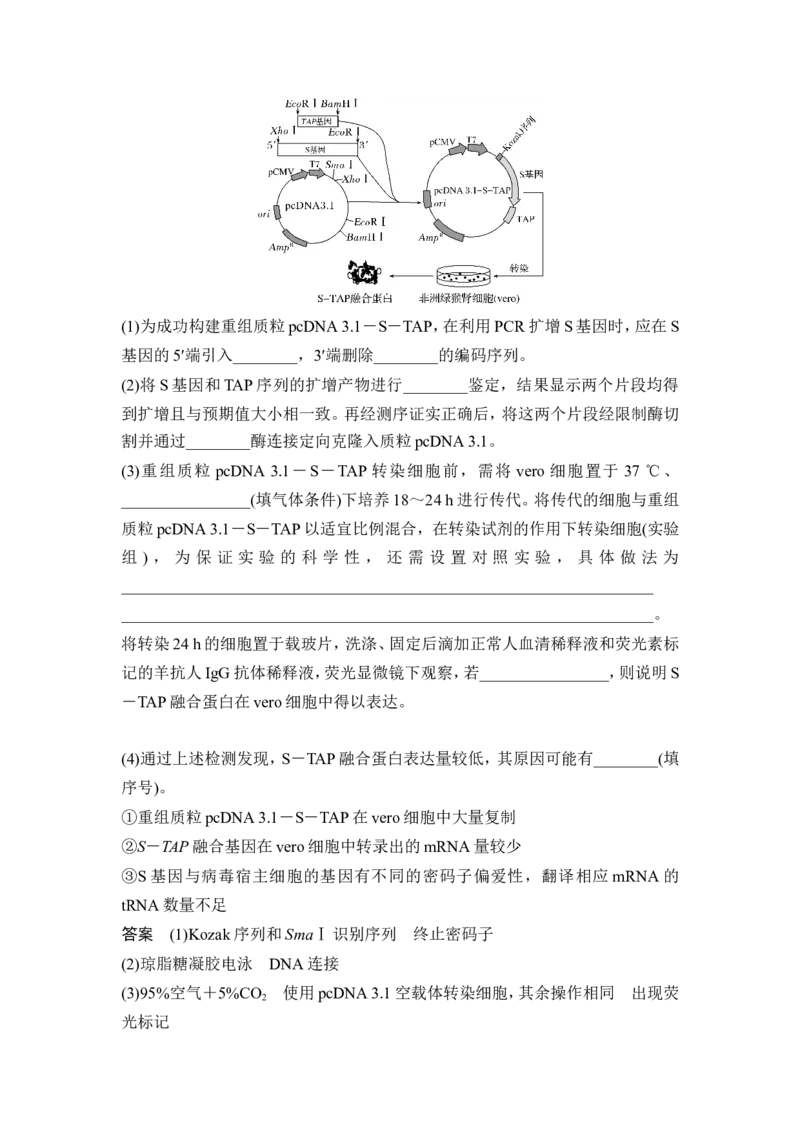 《课时2赋予生物新的遗传特性的基因工程(1)_2026版高中《二三轮复习+冲刺复习》_另附1套Word版题库_第一篇　大概念专题突破_大概念八利用生物技术与工程生产对人类有用的产品》第7页预览