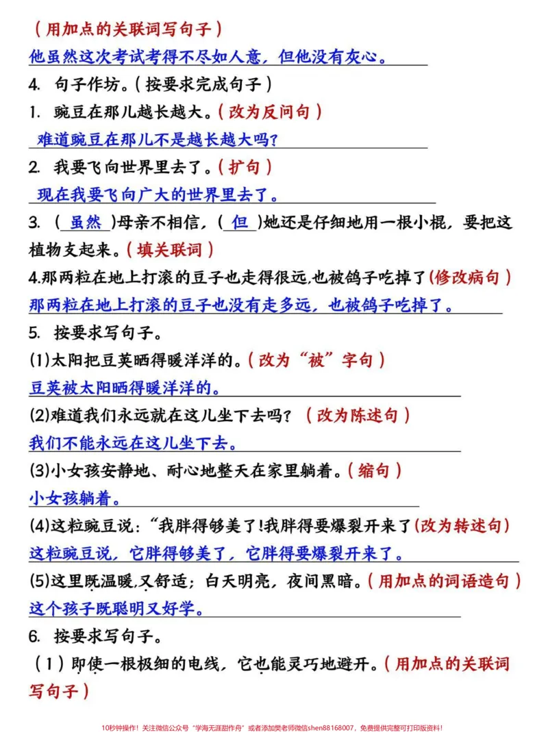 《四年级上册语文第二单元句式转换专项训练。#四年级#四年级上册语文#四年级语文#小学语文#小学语文知识点_最新小学1-9年级各科+幼升小+综合类学习资源汇总包》第2页预览