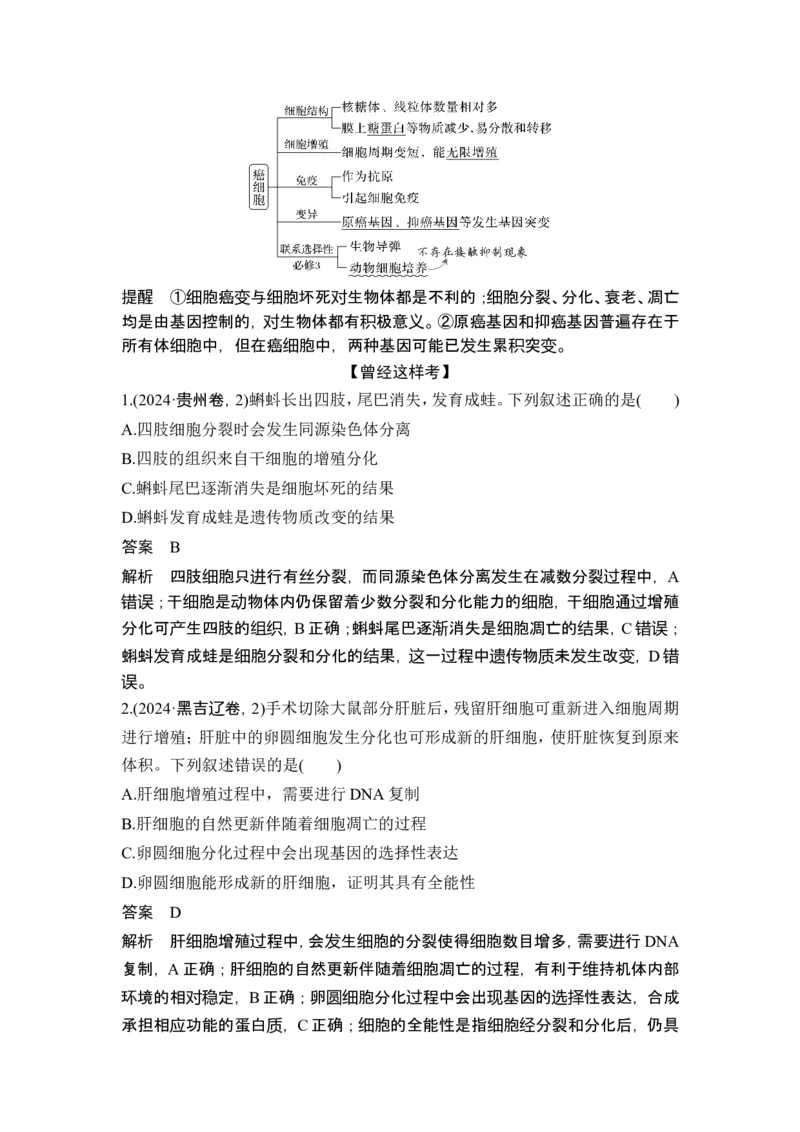 《课时1细胞增殖、分化、衰老和死亡等生命进程_2026版高中《二三轮复习+冲刺复习》_另附1套Word版题库_第一篇　大概念专题突破》第10页预览