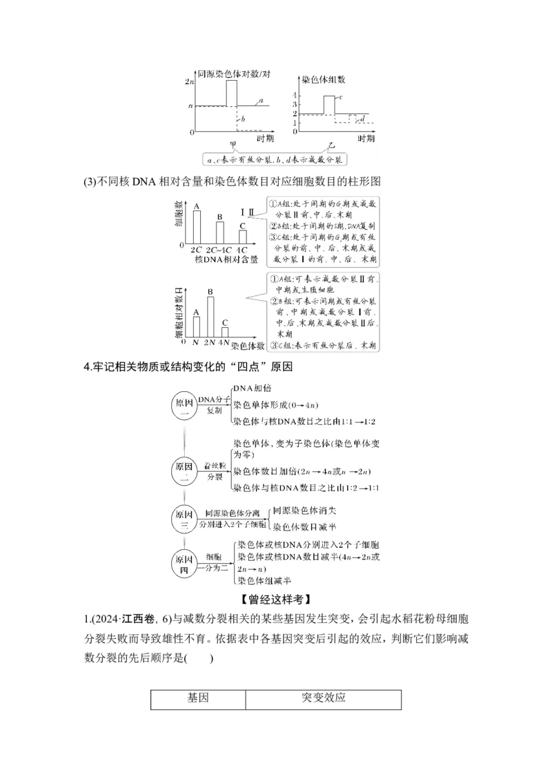 《课时1细胞增殖、分化、衰老和死亡等生命进程_2026版高中《二三轮复习+冲刺复习》_另附1套Word版题库_第一篇　大概念专题突破》第4页预览