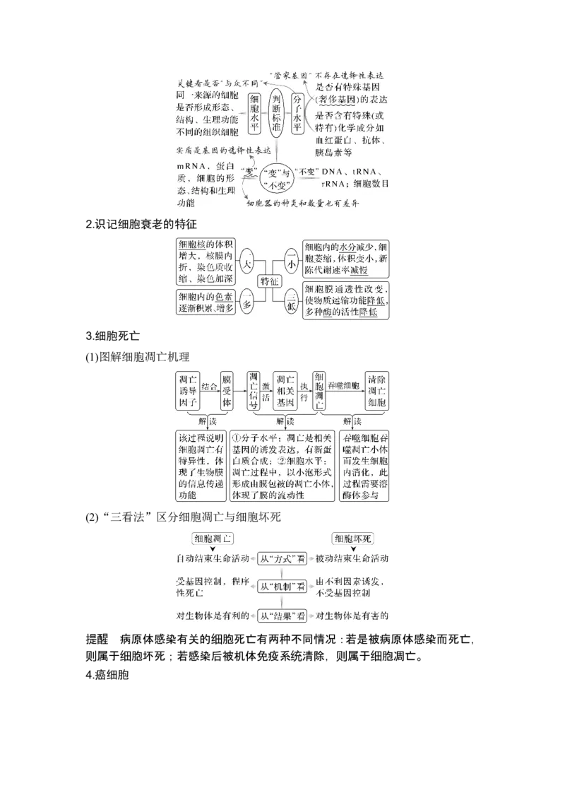 《课时1细胞增殖、分化、衰老和死亡等生命进程_2026版高中《二三轮复习+冲刺复习》_另附1套Word版题库_第一篇　大概念专题突破》第9页预览