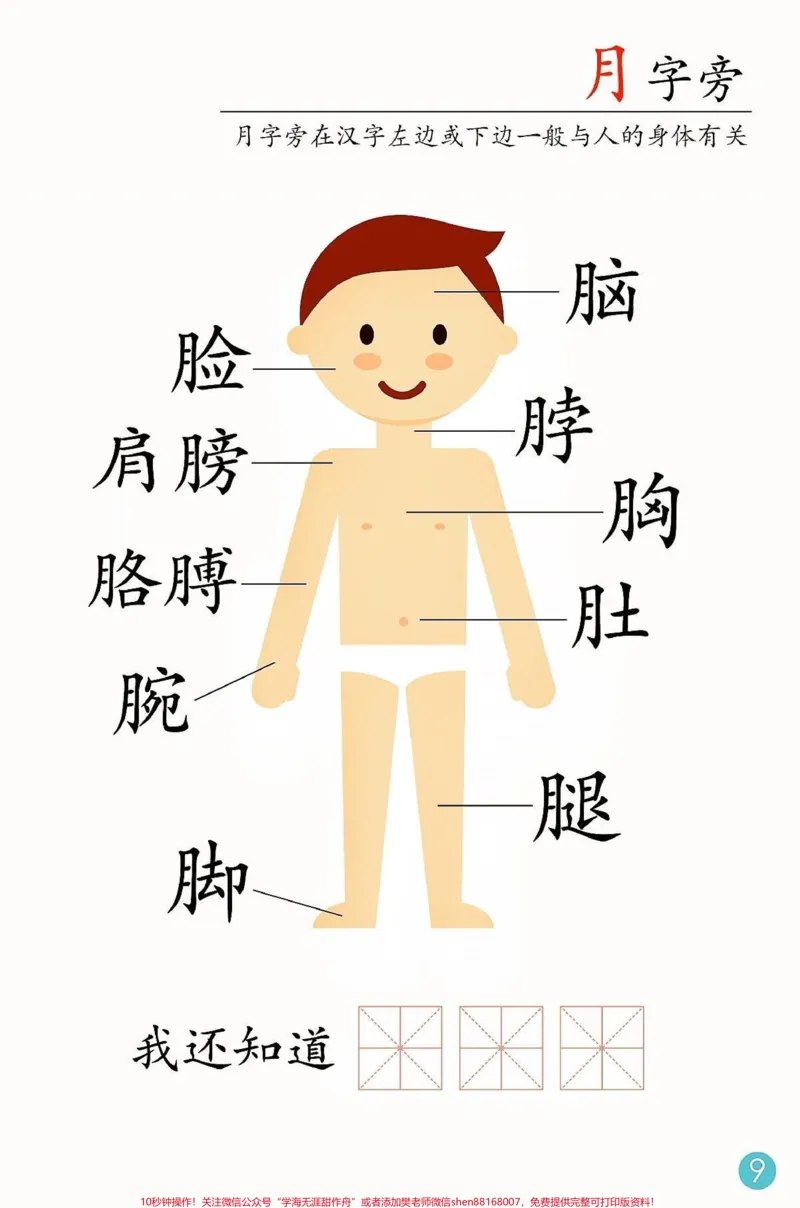 《实用的魔法汉字书‼️。有趣的魔法汉字书来啦，配合识字思维导图，太到位了，宝宝这样认字真的轻松很多。#幼儿识字#魔法汉字#家长收藏孩子受益#知识分享#qunju888.com教育》第9页预览