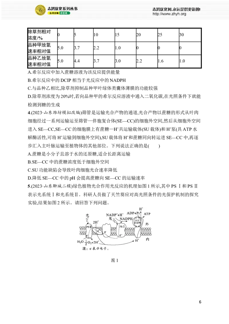 《专题2　细胞的代谢_初高中资料库_高中资料库（转存避免链接过期失效）_高中生物》第6页预览