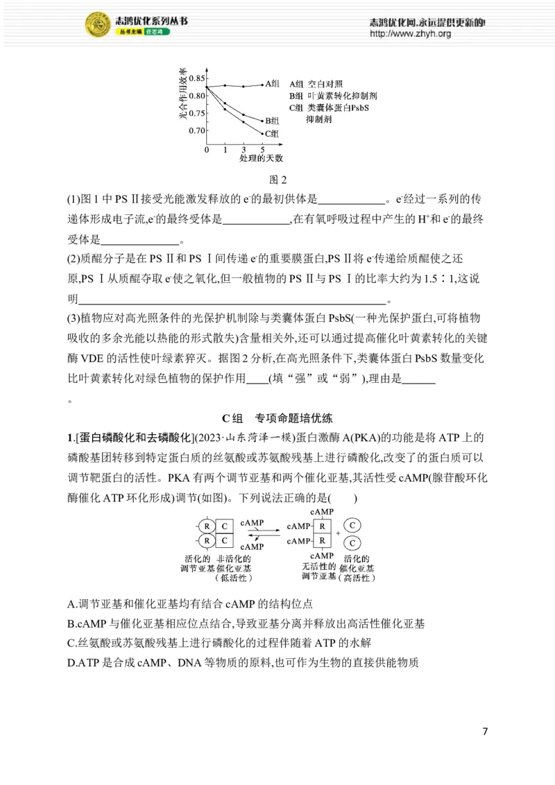 《专题2　细胞的代谢_初高中资料库_高中资料库（转存避免链接过期失效）_高中生物》第7页预览