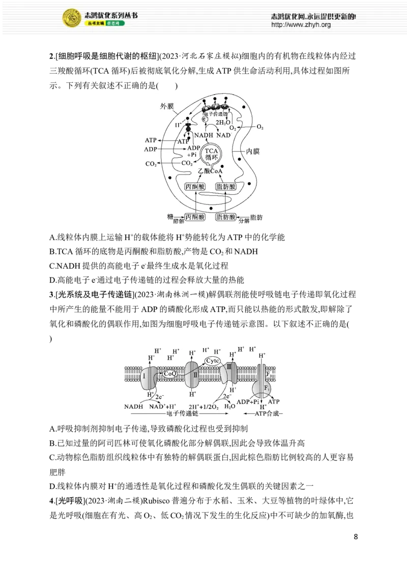 《专题2　细胞的代谢_初高中资料库_高中资料库（转存避免链接过期失效）_高中生物》第8页预览