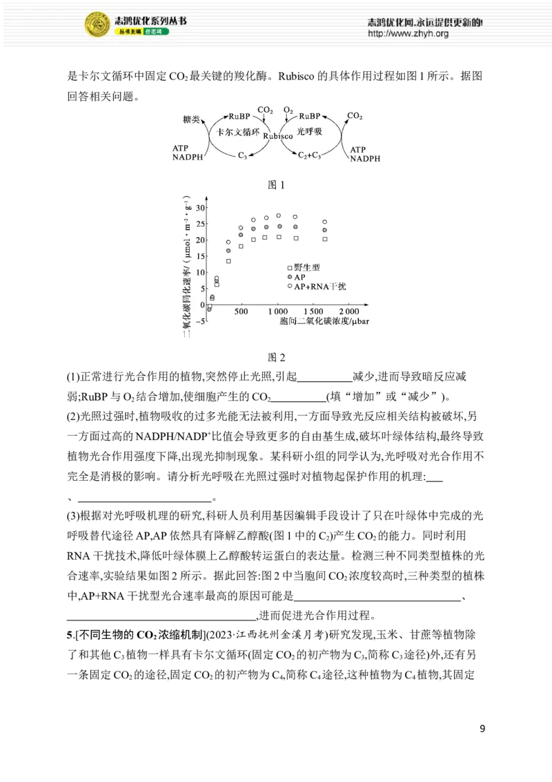 《专题2　细胞的代谢_初高中资料库_高中资料库（转存避免链接过期失效）_高中生物》第9页预览