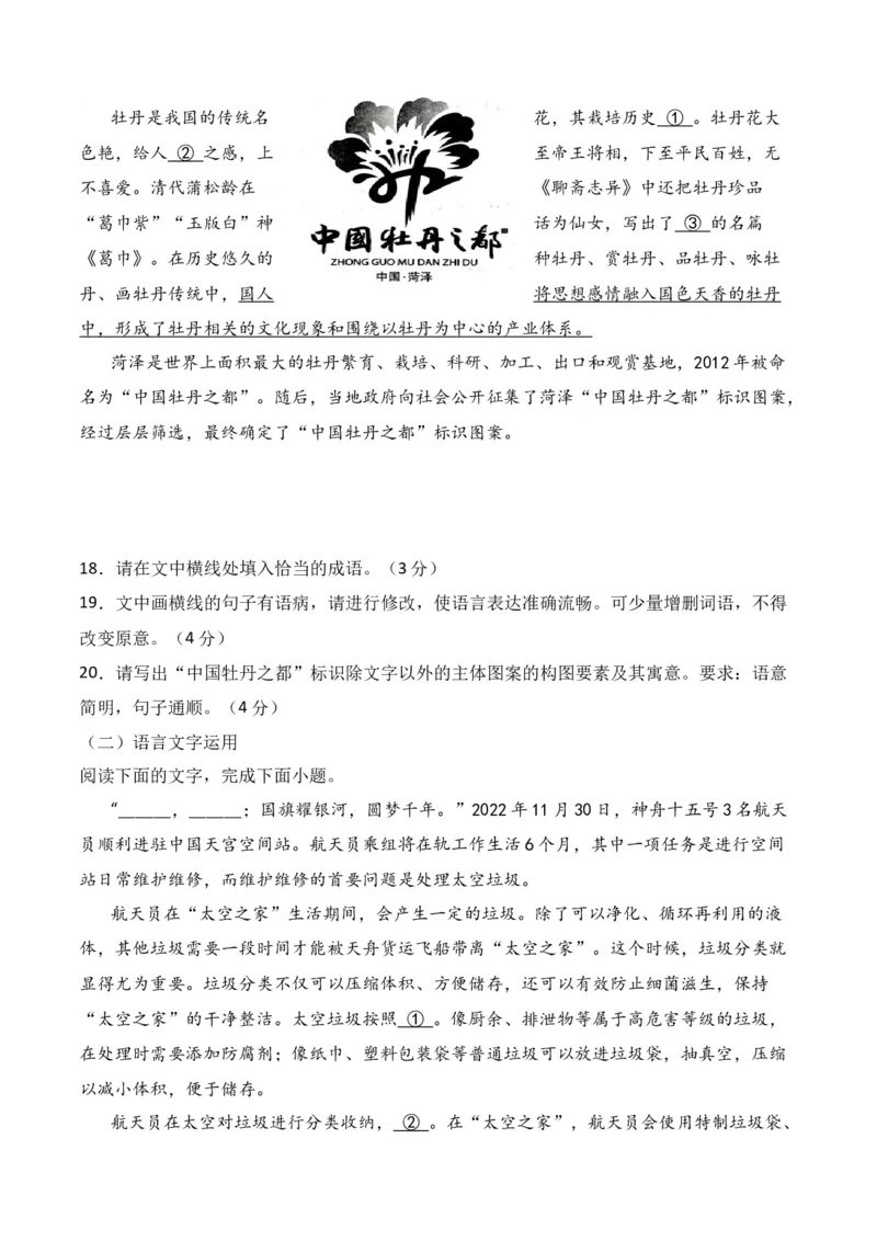 《13语言文字运用综合提升训练（二）-解析版_语文_一轮复习_2024年_2024年高考语文一轮复习之语言文字运用（全国通用）_资料》第5页预览