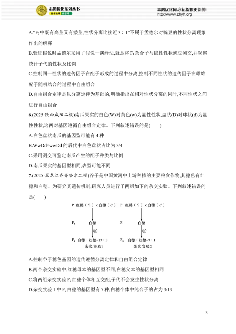 《限时练10　大单元四查缺补漏保分练_2026版高中《二三轮复习+冲刺复习》_高考总复习优化设计二轮用书生物课后习题Word_课后习题_大单元4　遗传信息控制生物性状的遗传规律》第3页预览