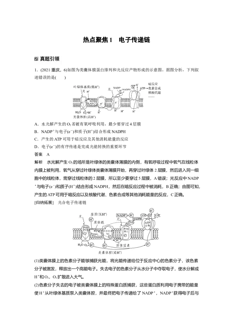 《第一部分　专题二　热点聚焦1　电子传递链_2026版高中《二三轮复习+冲刺复习》_教师用书Word版文档_第一部分　专题复习》第1页预览