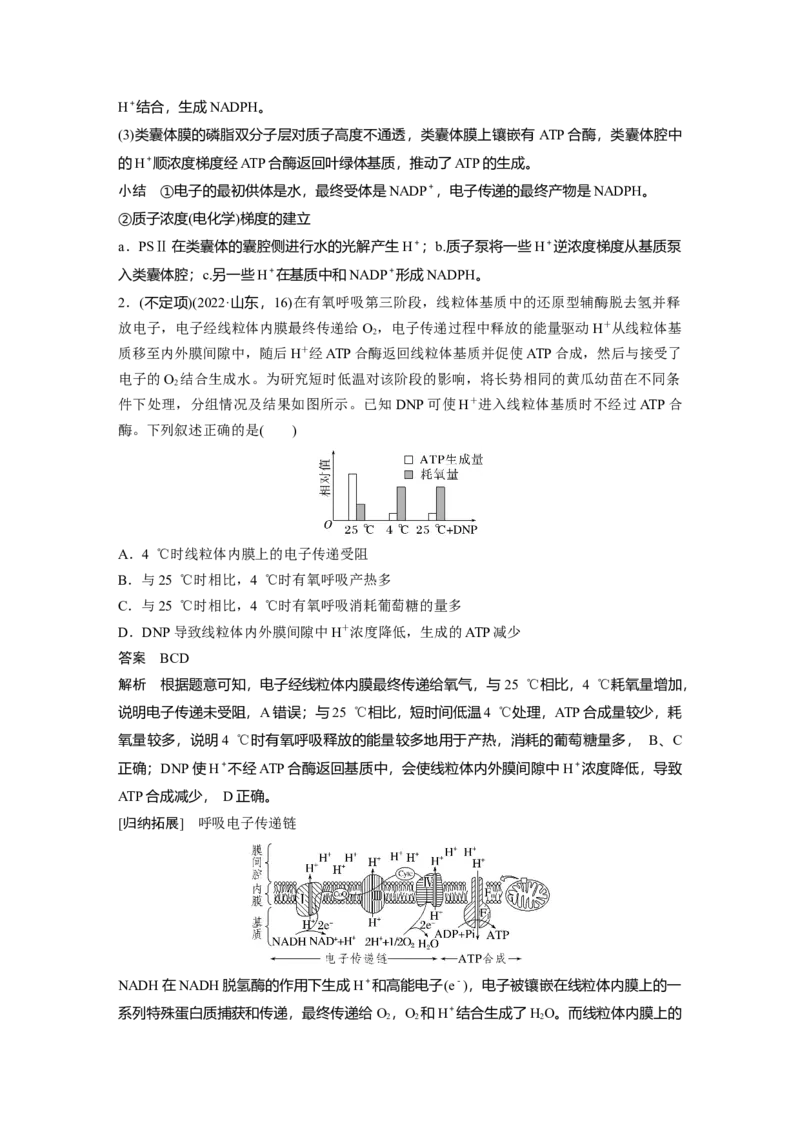 《第一部分　专题二　热点聚焦1　电子传递链_2026版高中《二三轮复习+冲刺复习》_教师用书Word版文档_第一部分　专题复习》第2页预览