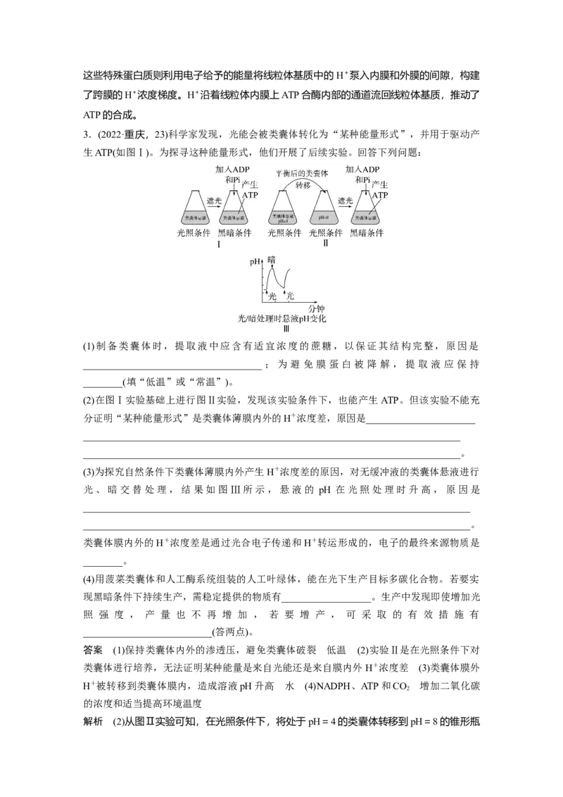 《第一部分　专题二　热点聚焦1　电子传递链_2026版高中《二三轮复习+冲刺复习》_教师用书Word版文档_第一部分　专题复习》第3页预览