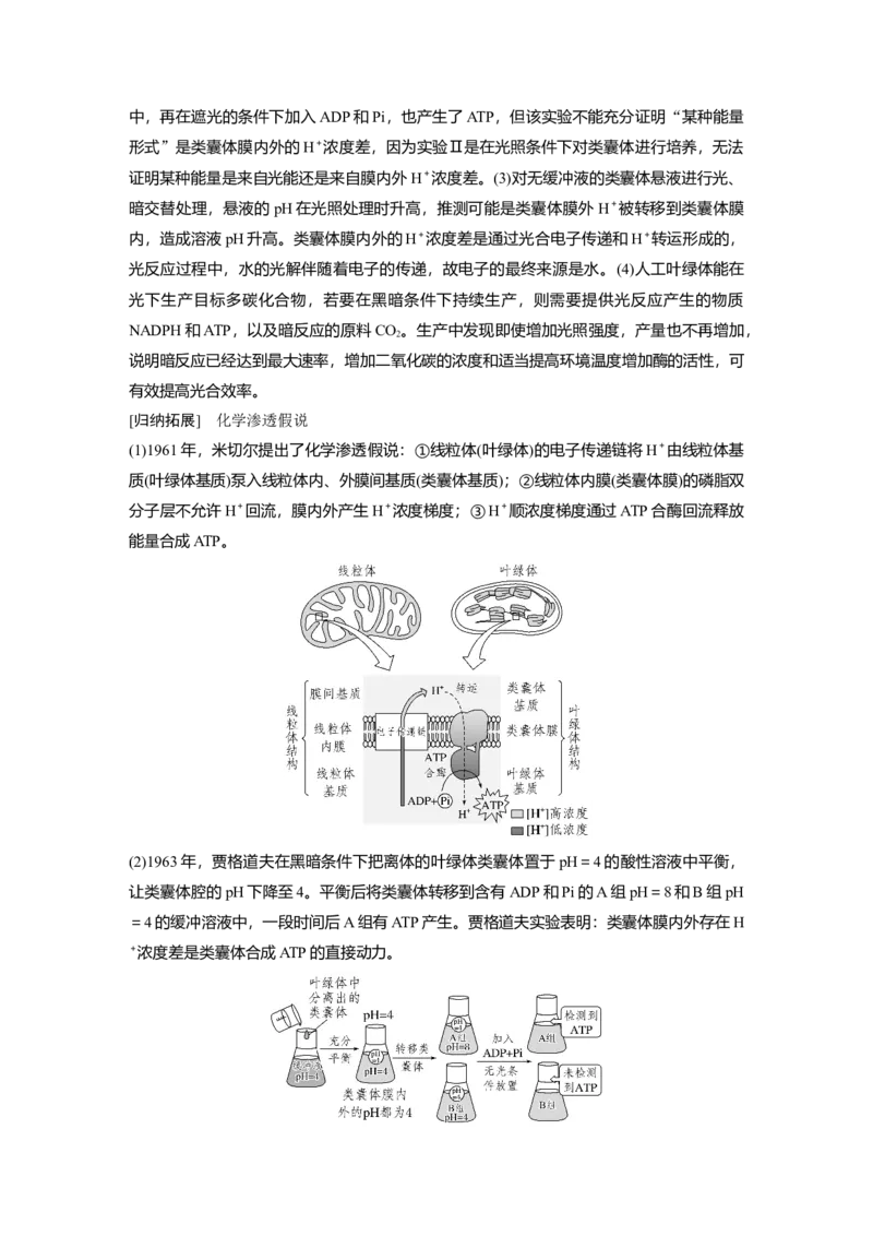 《第一部分　专题二　热点聚焦1　电子传递链_2026版高中《二三轮复习+冲刺复习》_教师用书Word版文档_第一部分　专题复习》第4页预览