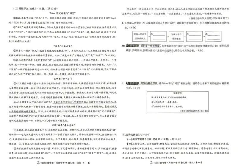 《语文（河南红）(1)_2026秋初中教辅合集_2027天星系列_2027《天星金考卷•中考45套》语文（河南）》第8页预览