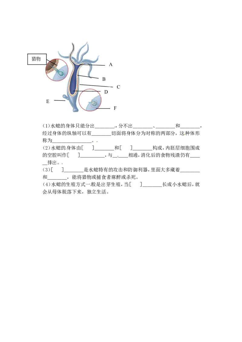 《5.1.1腔肠动物和扁形动物腔肠动物当堂达标新_初高中资料库_初中资料库（转存避免链接过期失效）_初中生物》第2页预览
